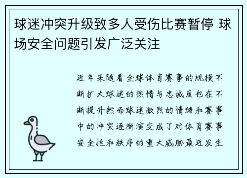 球迷冲突升级致多人受伤比赛暂停 球场安全问题引发广泛关注